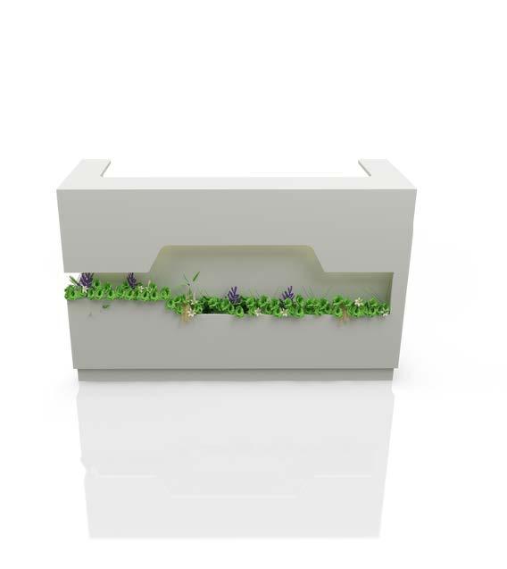 BOTANİK BANKO